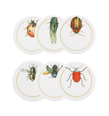 Insectos Set of 6 Coasters