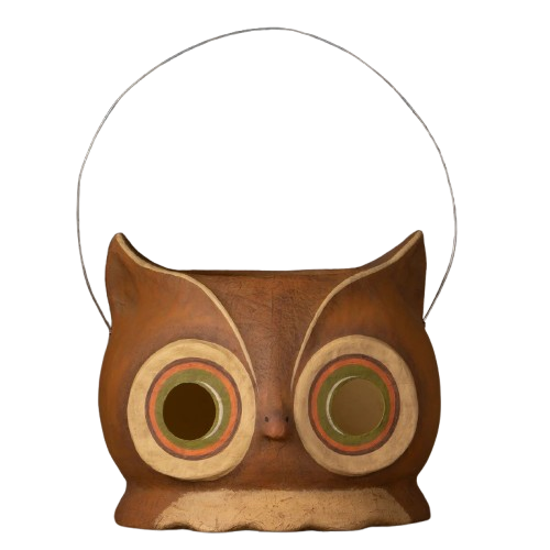 Hootin Owl Bucket