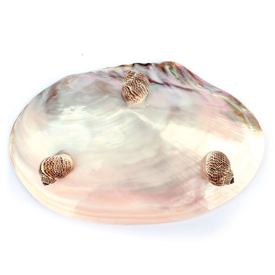 Aprille Abalone Accent Dish