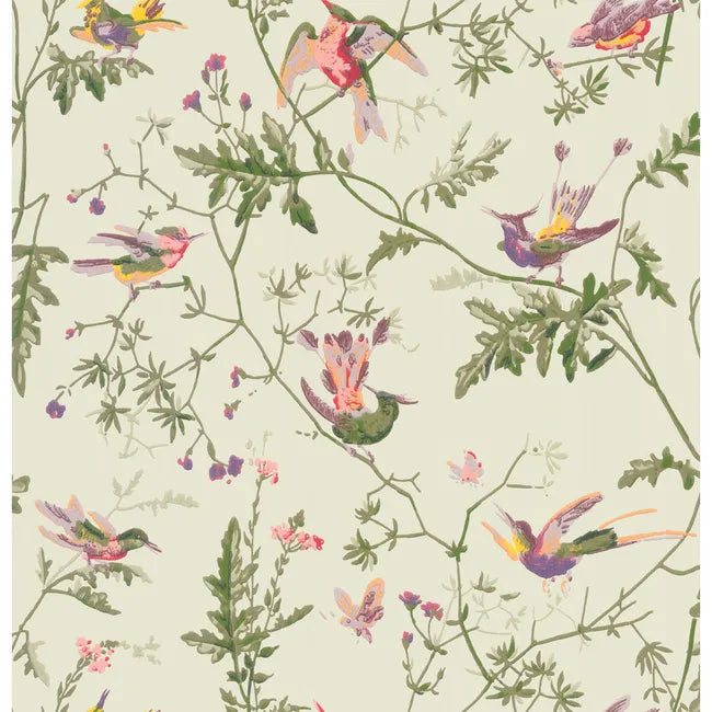 Cole & Son Hummingbirds Wallpaper, Green Muti-Colored