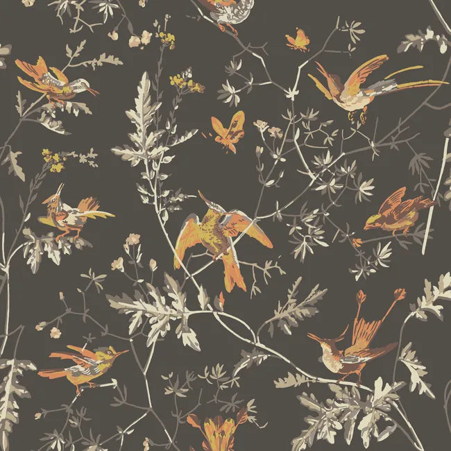 Cole & Son Hummingbirds Wallpaper, Charcoal/Ginger Muti-Colored