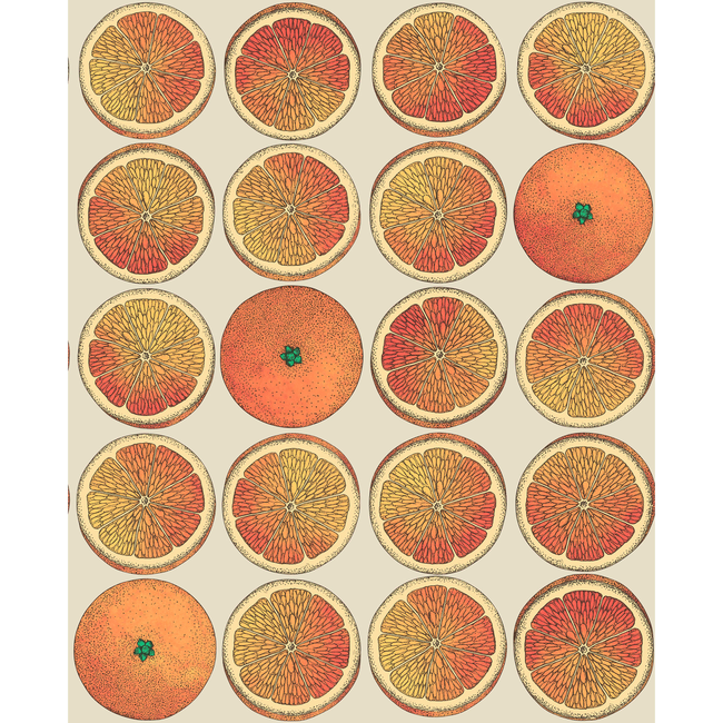 Fornasetti Arance Wallpaper, Orange & Cream