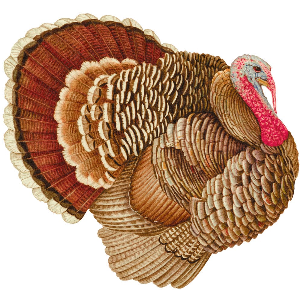 Caspari Turkey Paper Placemats, Package of 12