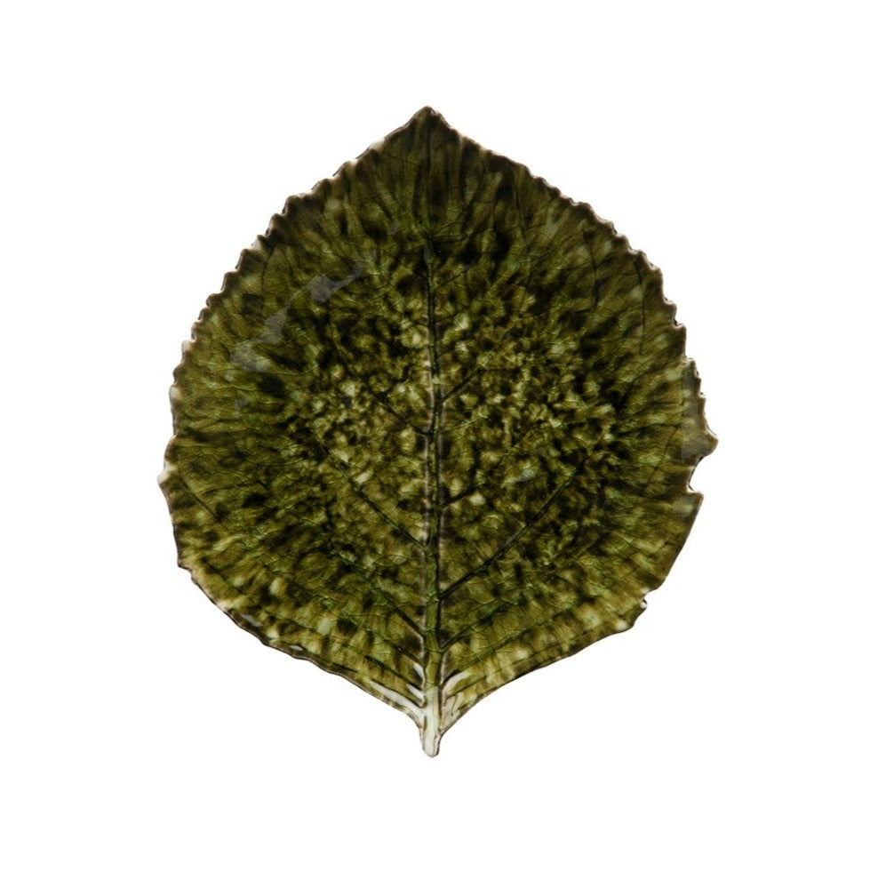 Riviera Hydrangea Leaf, Forets
