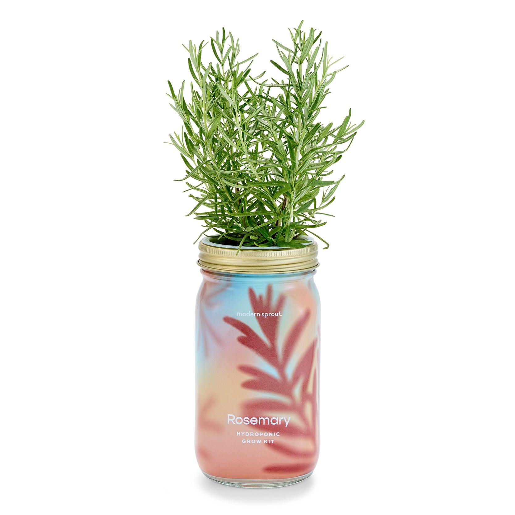 Herb Garden Jar, Rosemary