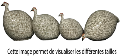 Speckled White & Grey Guinea Hen, Medium