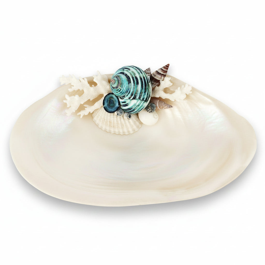 Aprille Abalone Accent Dish