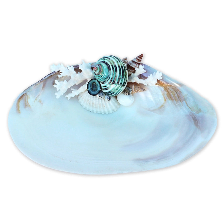 Aprille Abalone Accent Dish
