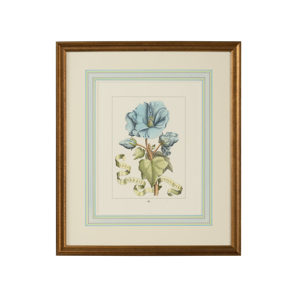 Fleur et Bleu I