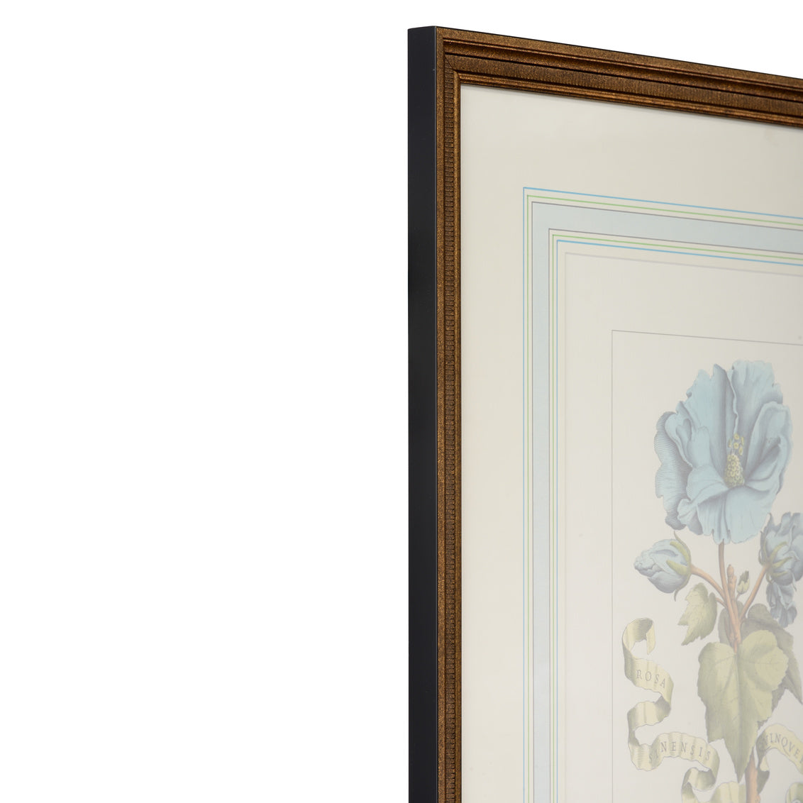 Fleur et Bleu I
