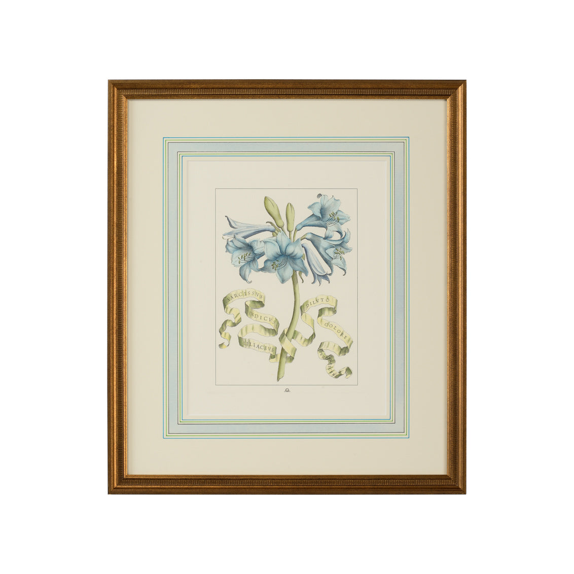 Fleur Et Bleu III