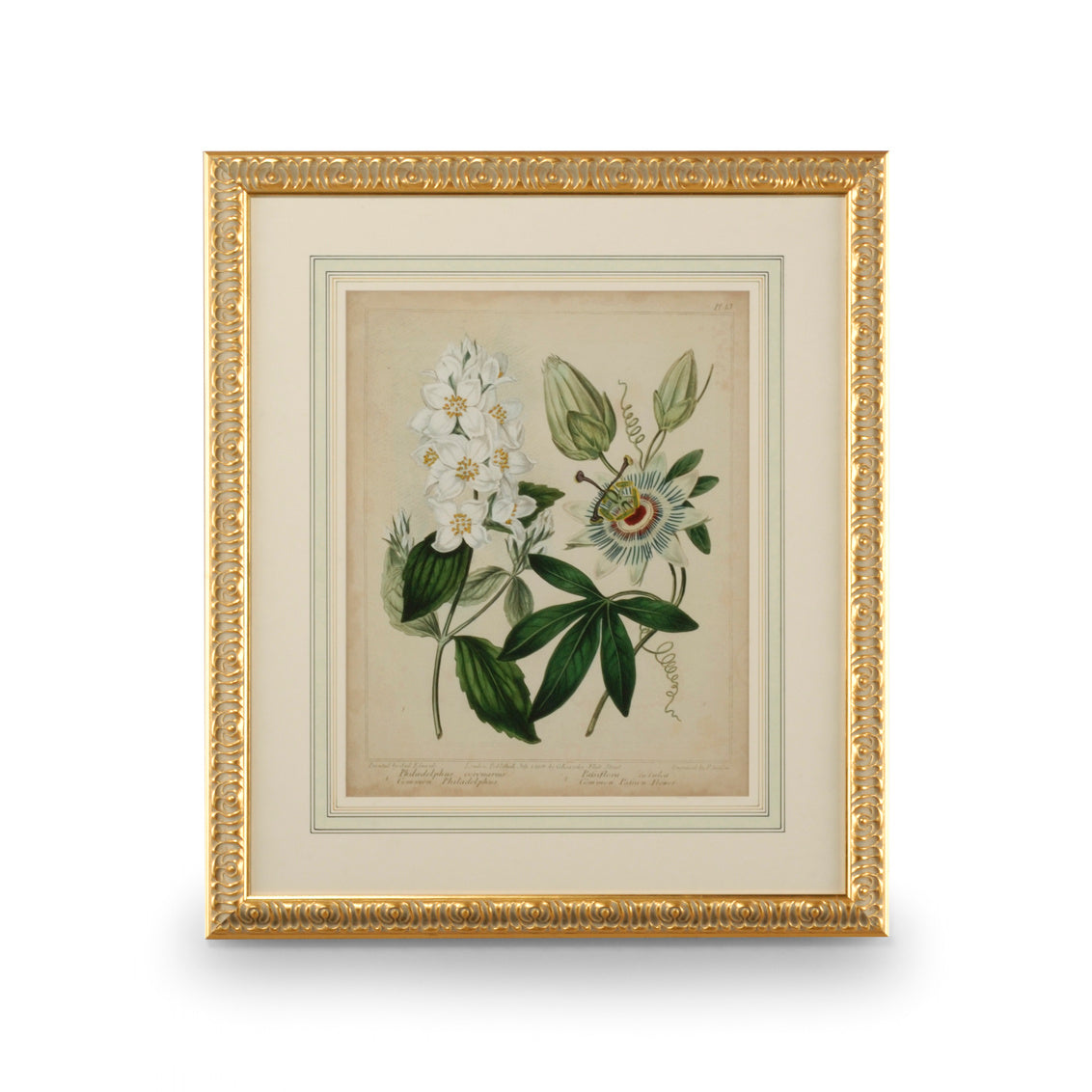 Cottage Florals II