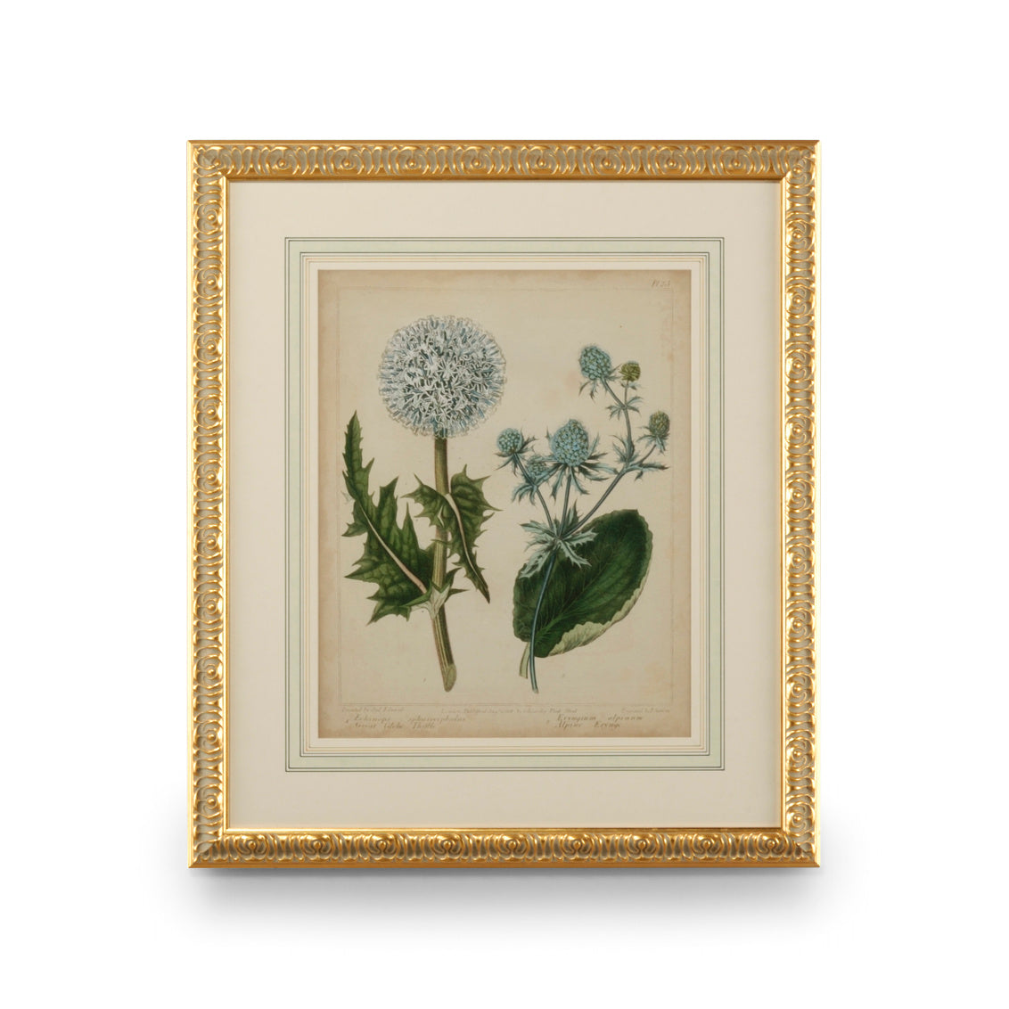 Cottage Florals III