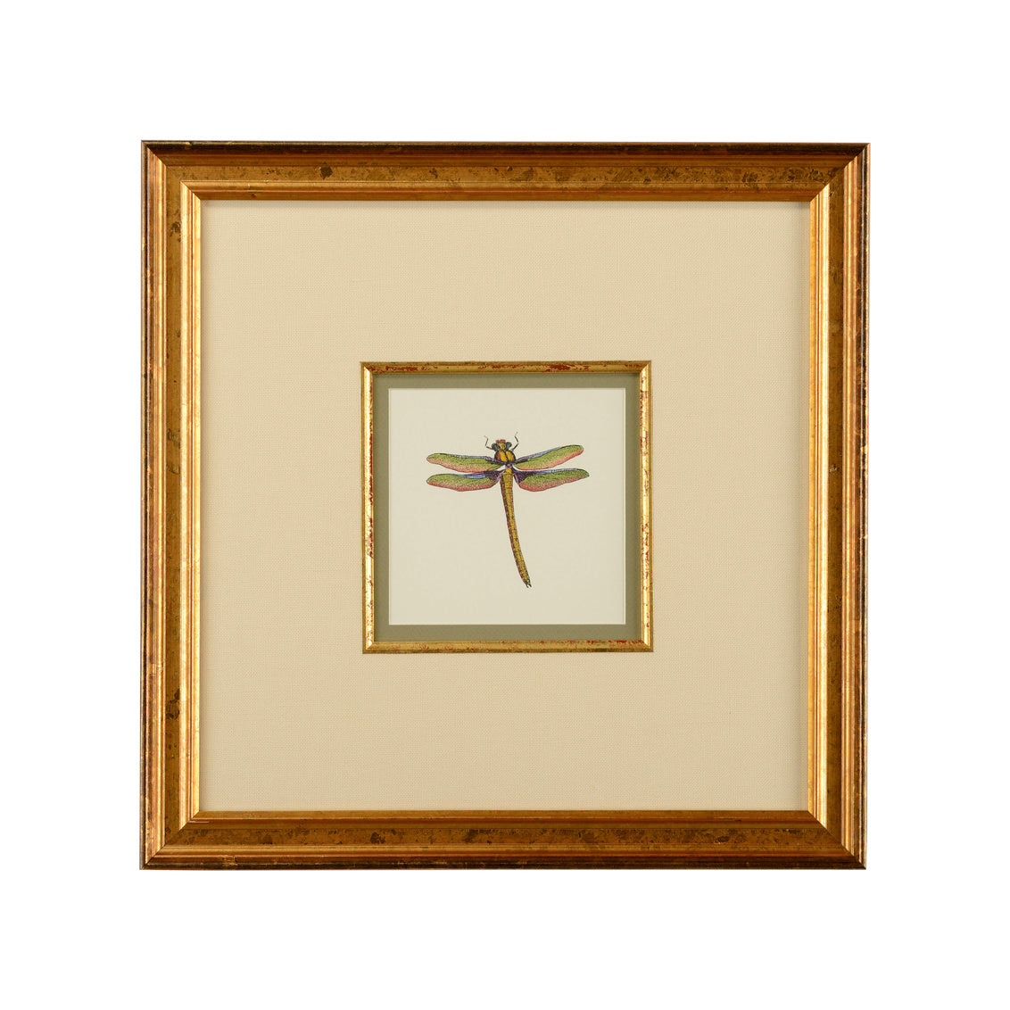Petite Dragonfly I