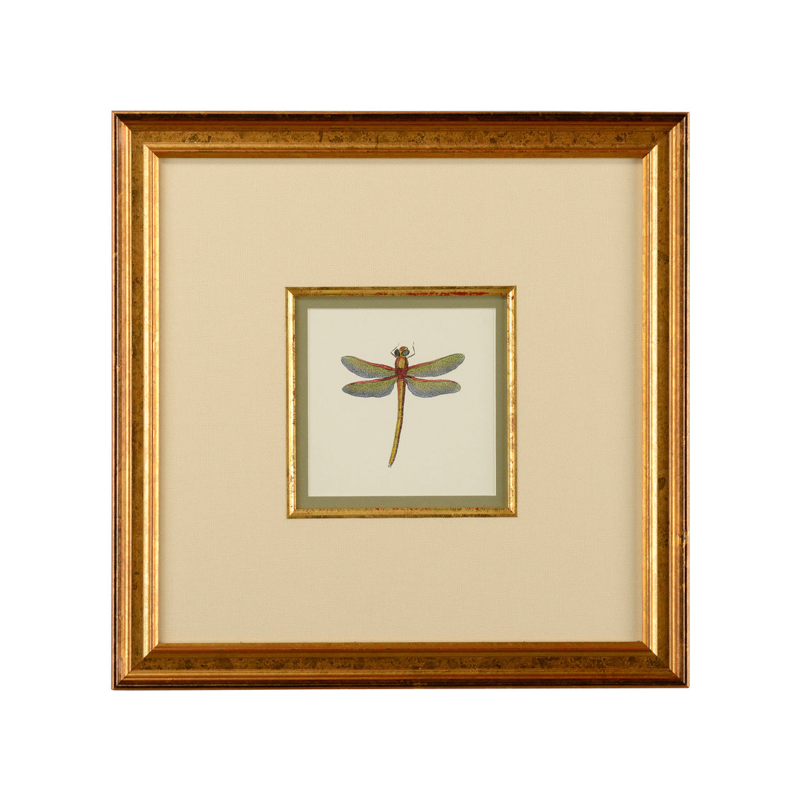 Petite Dragonfly II