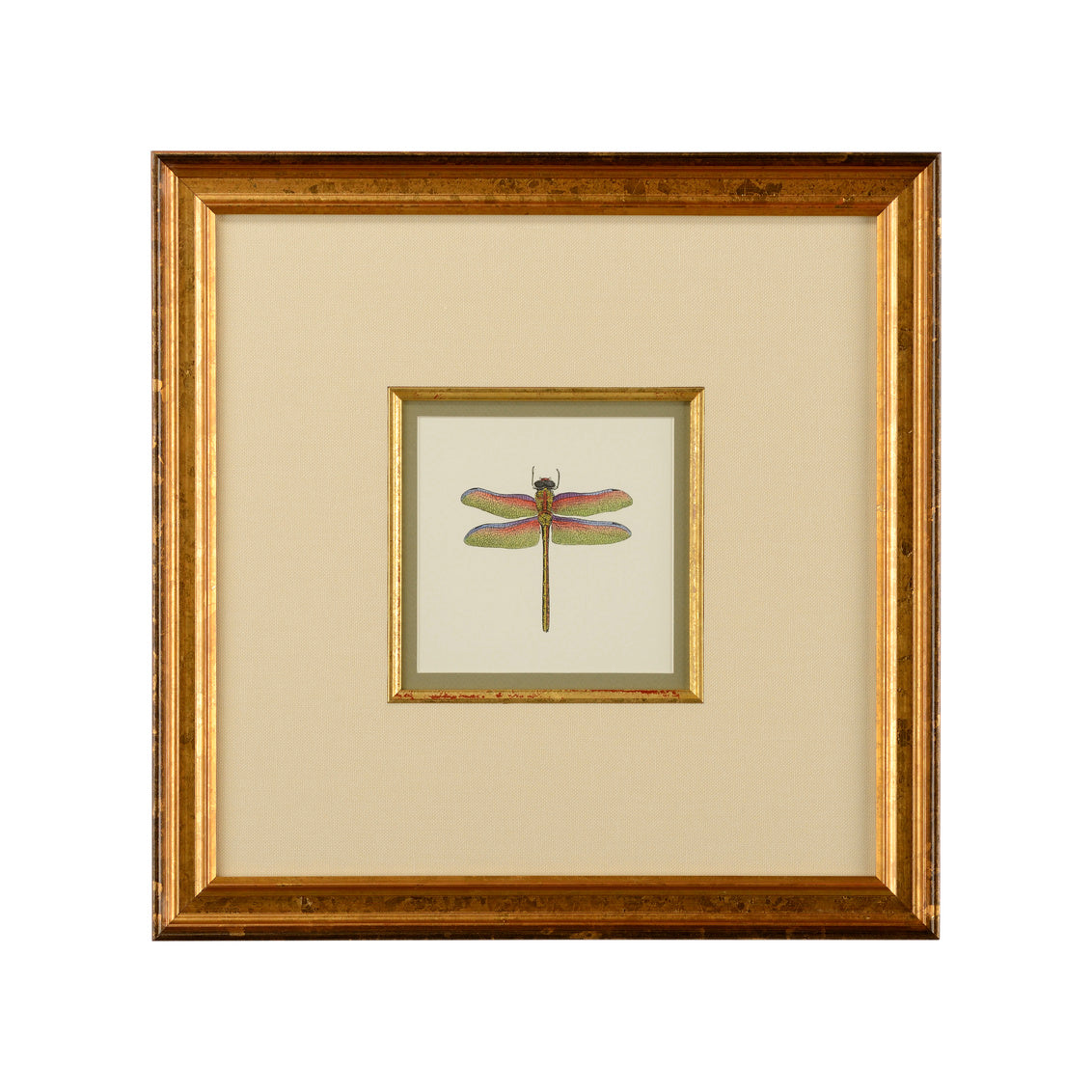Petite Dragonfly III