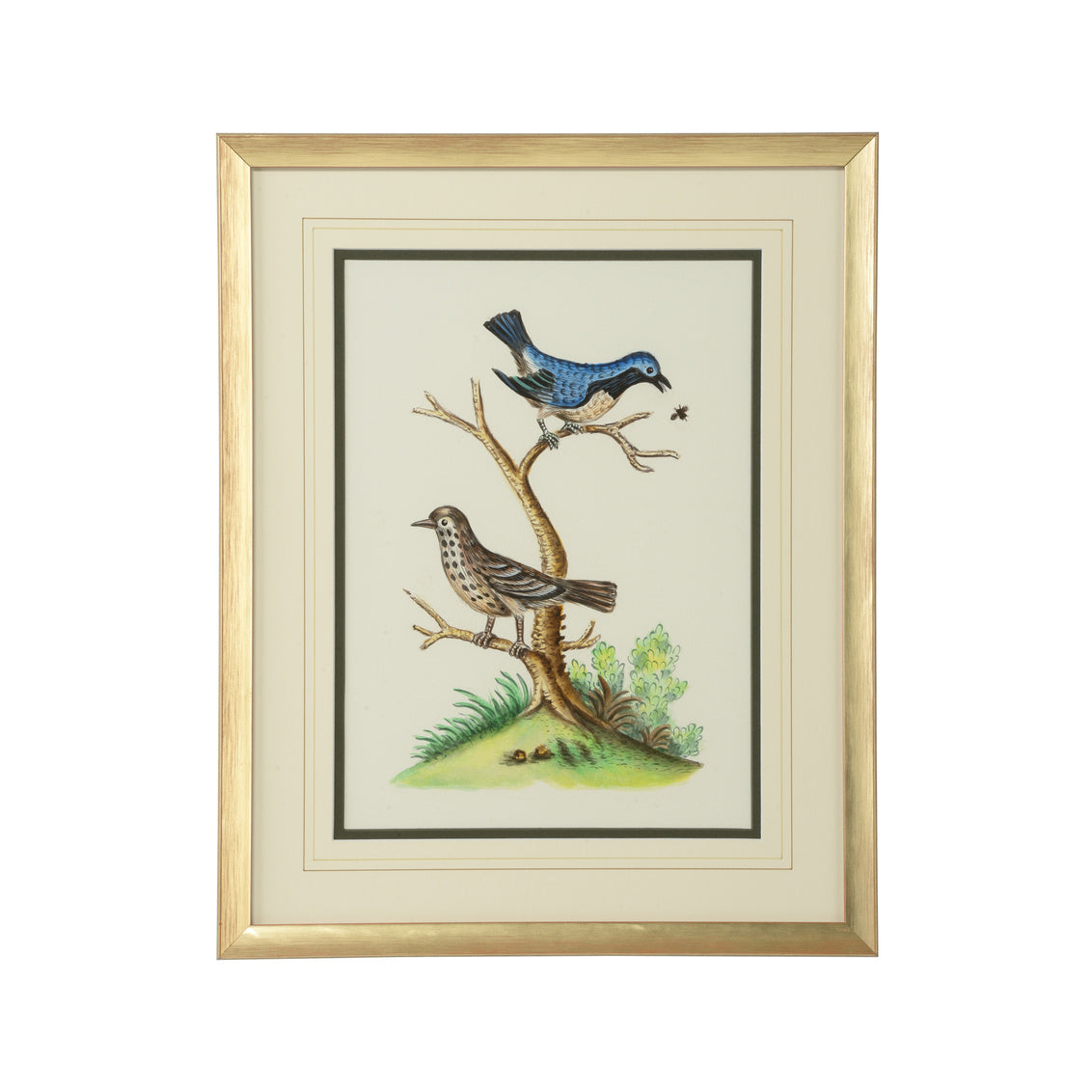 Cain Birds E