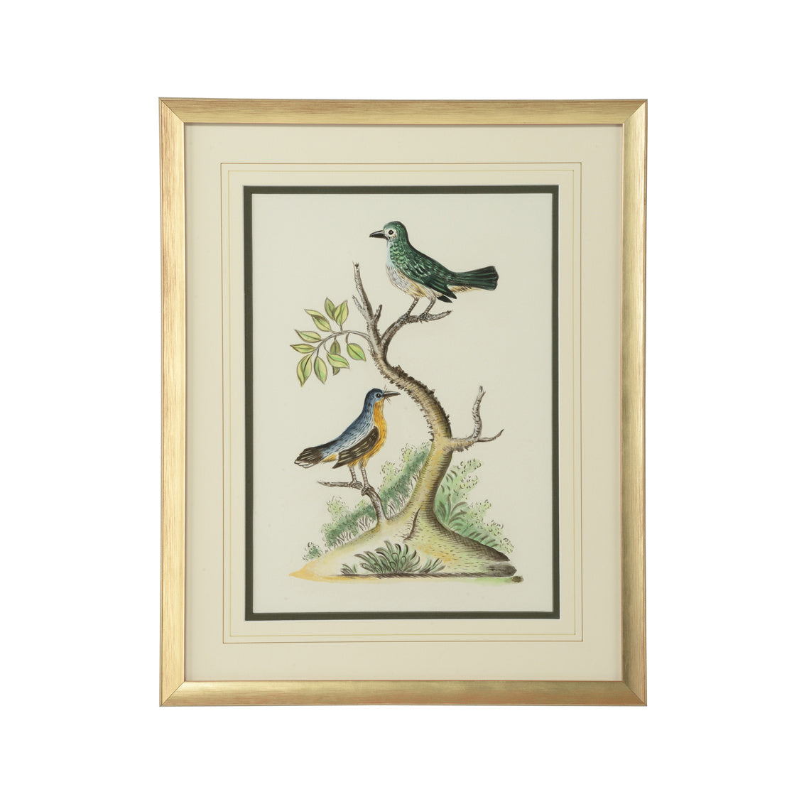 Cain Birds F
