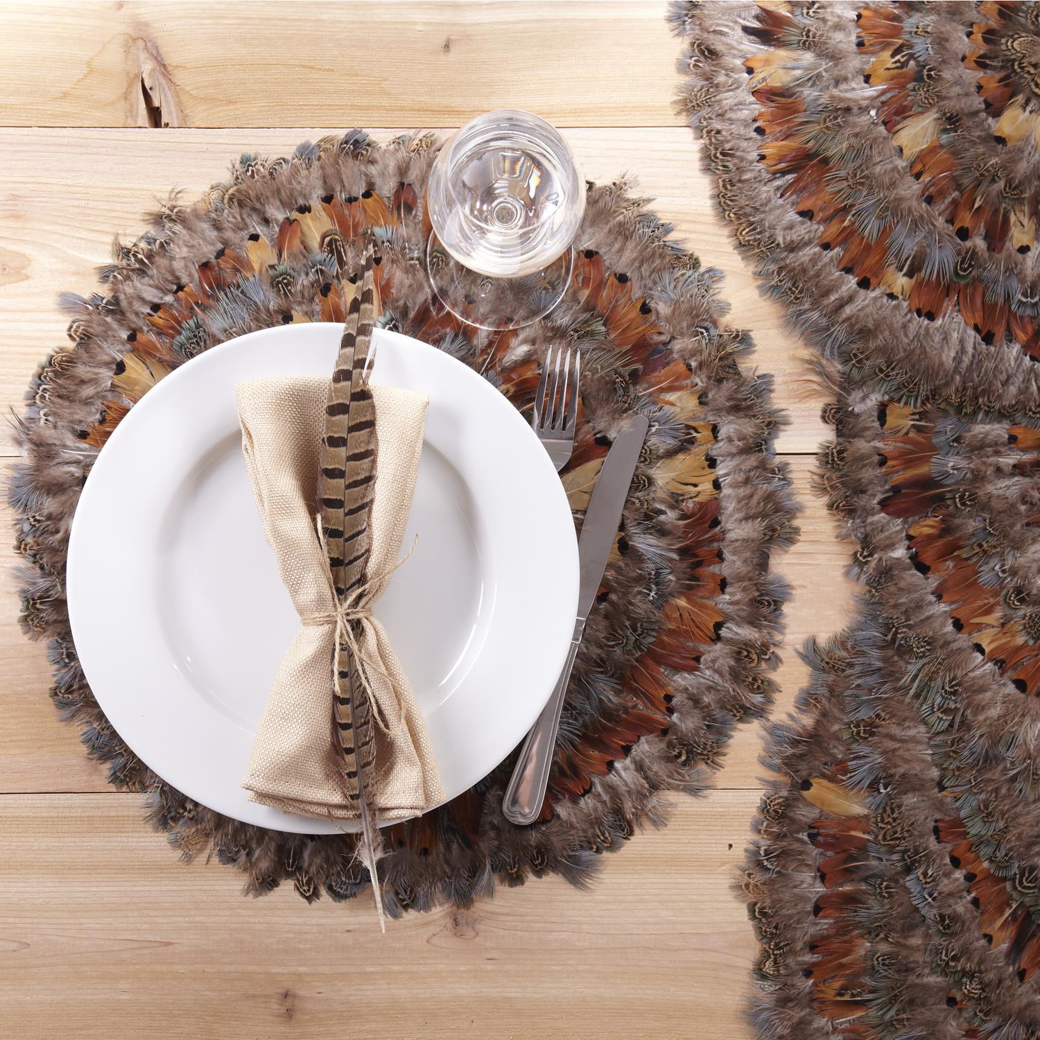 Pheasant Park Feather Placemats