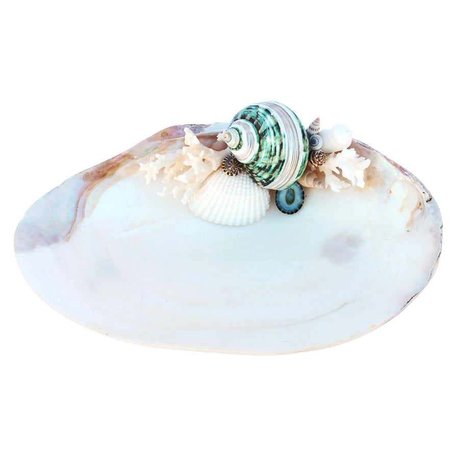 Phalen Abalone Accent Dish