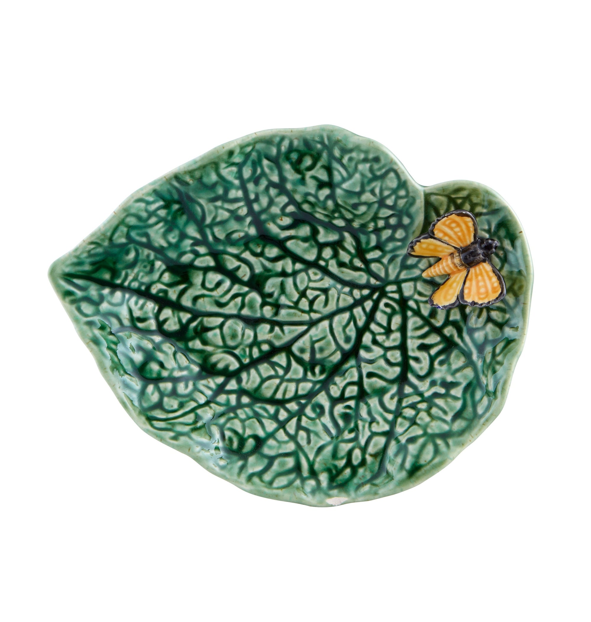 Begonia Leaf with Butterfly