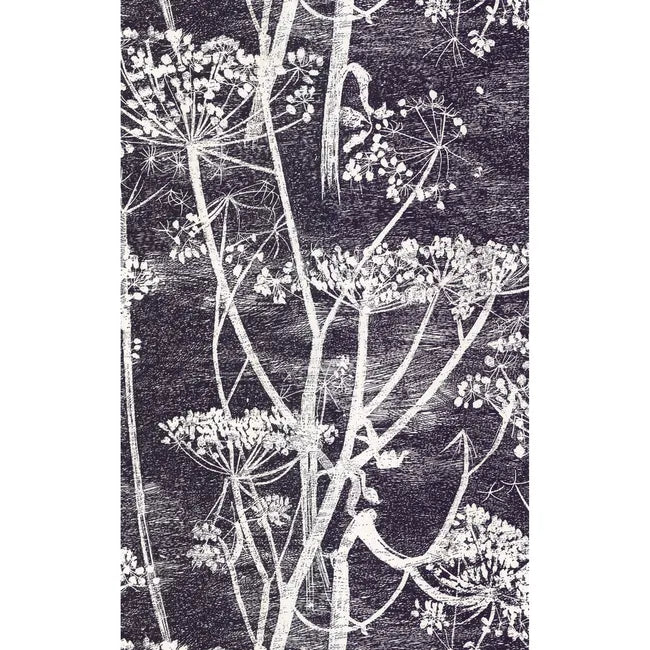 Cole & Son Cow Parsley Wallpaper, White/Black