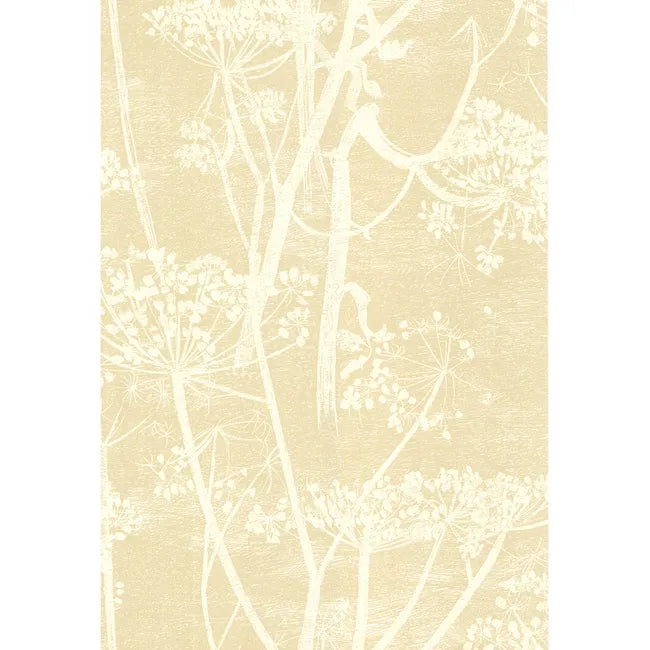 Cole & Son Cow Parsley Wallpaper, White/Beige