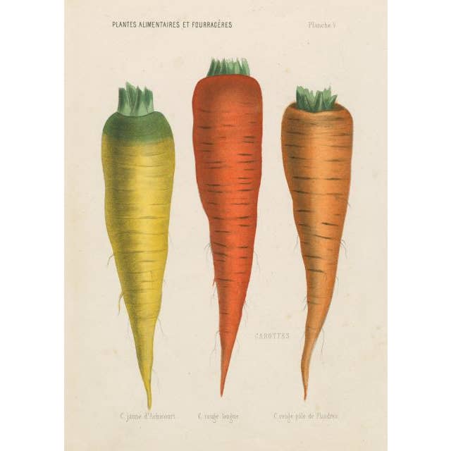 John Derian Paper Goods: Three Carrots Puzzle