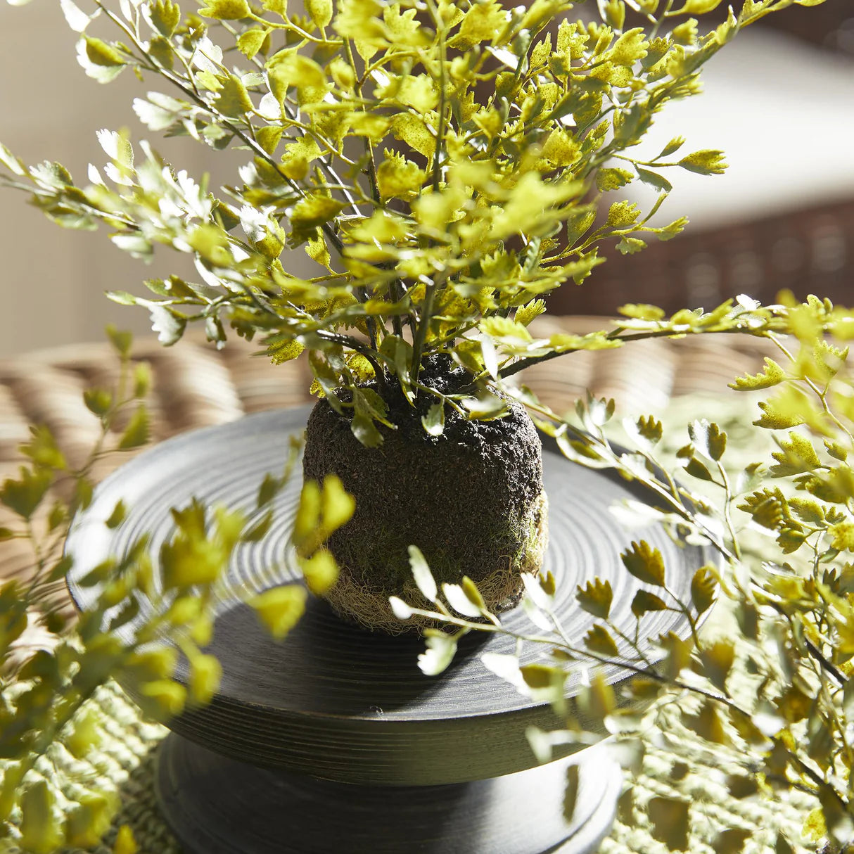 Maidenhair Drop-Ins Set of 3