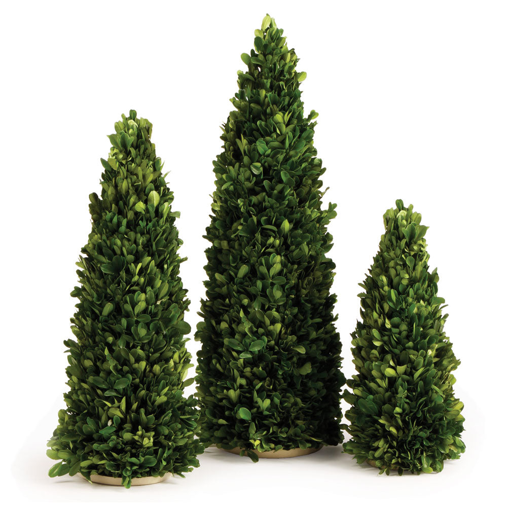 Boxwood Mini Trees, Set of 3