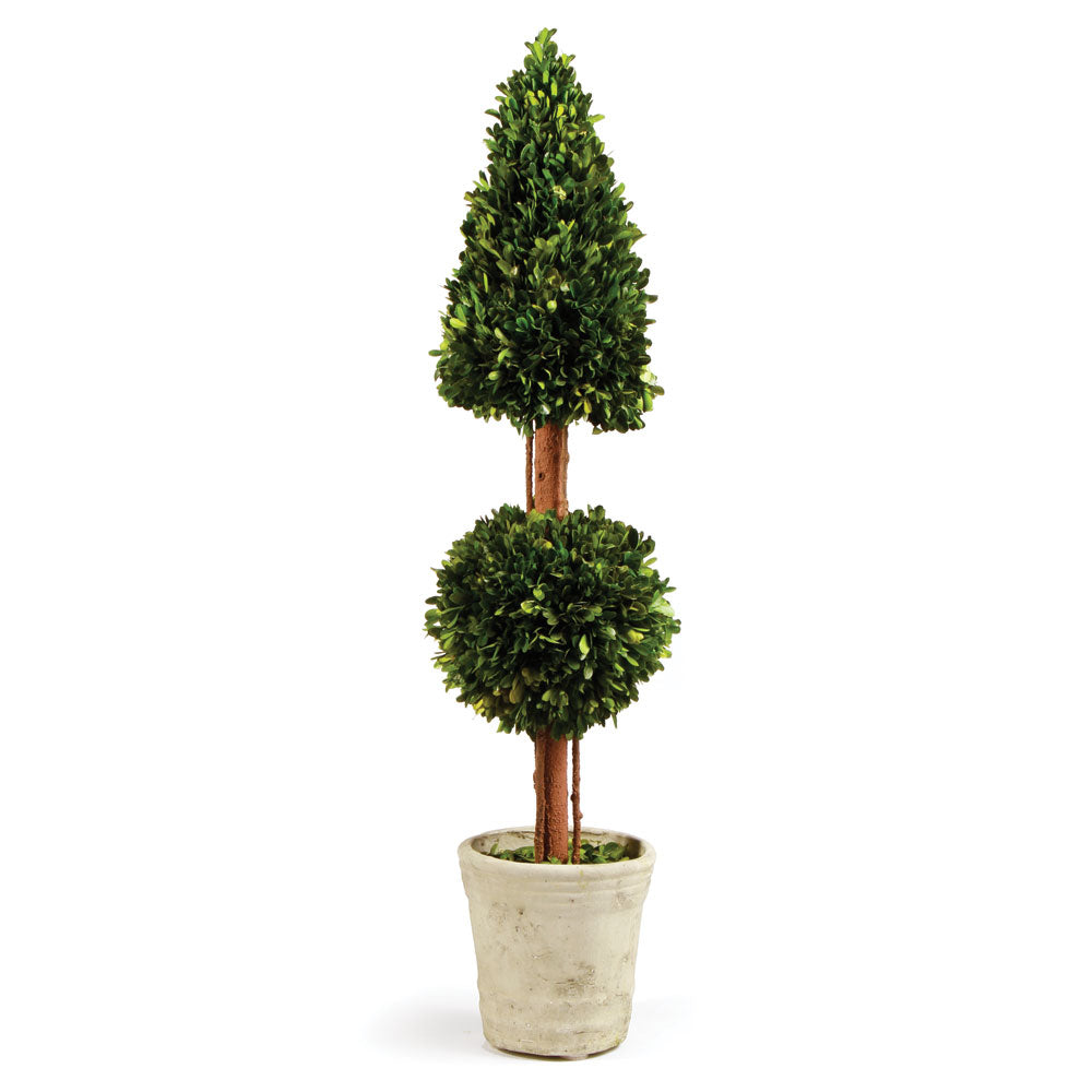 Boxwood Cone & Ball Topiary 36"