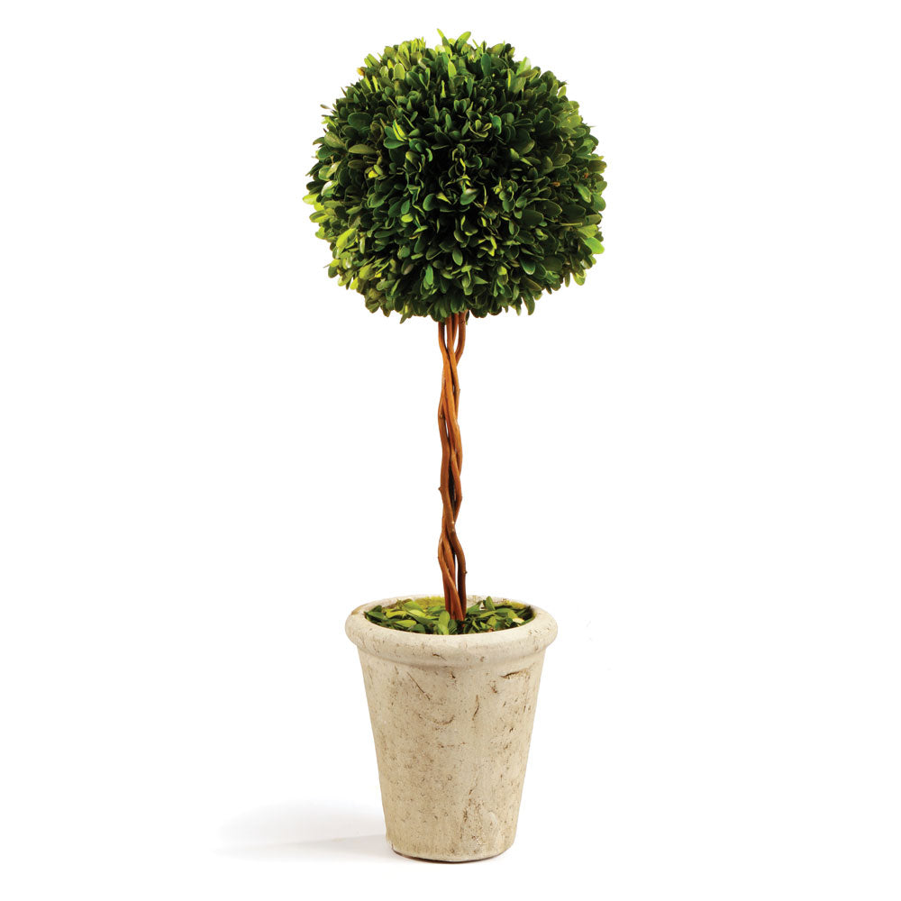 Single Sphere Topiary 18.5"