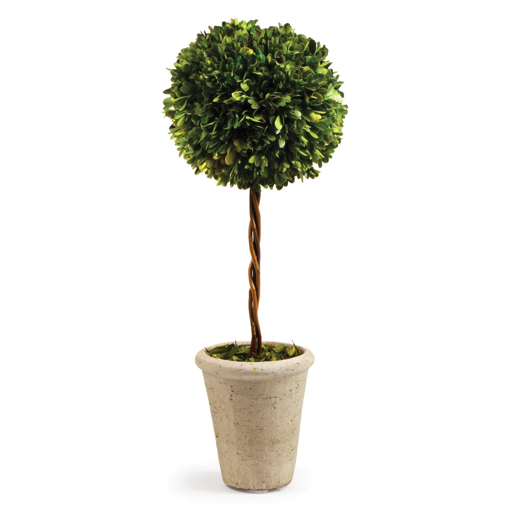 Single Sphere Topiary 23.25"