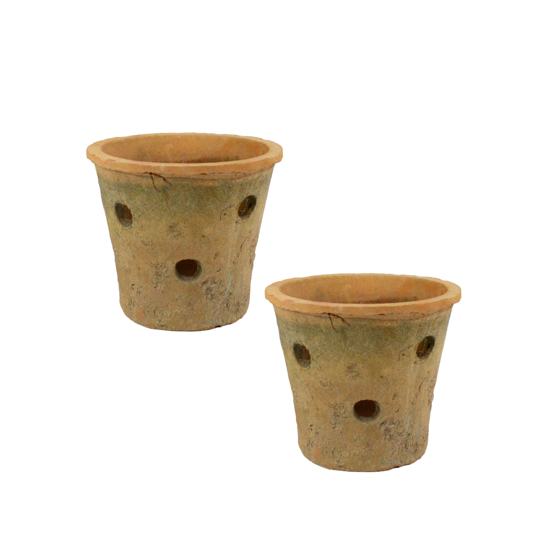 rustic terracotta plant pots Aged Terra Cotta Orchid Pot, Set of 2