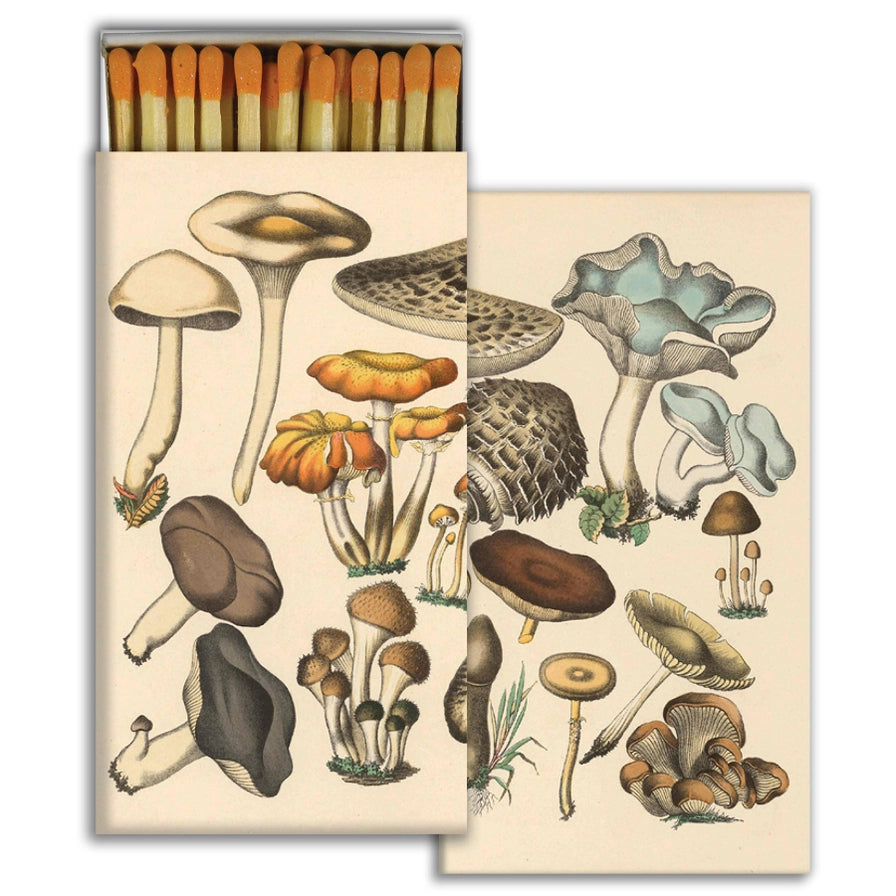 Fungi Frenzy Matches