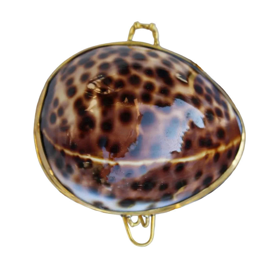 Tiger Cowrie Seashell Coin Purse