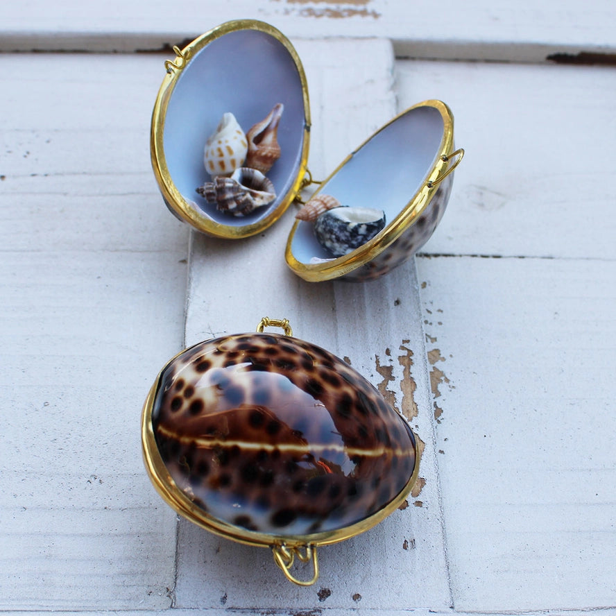 Tiger Cowrie Seashell Coin Purse