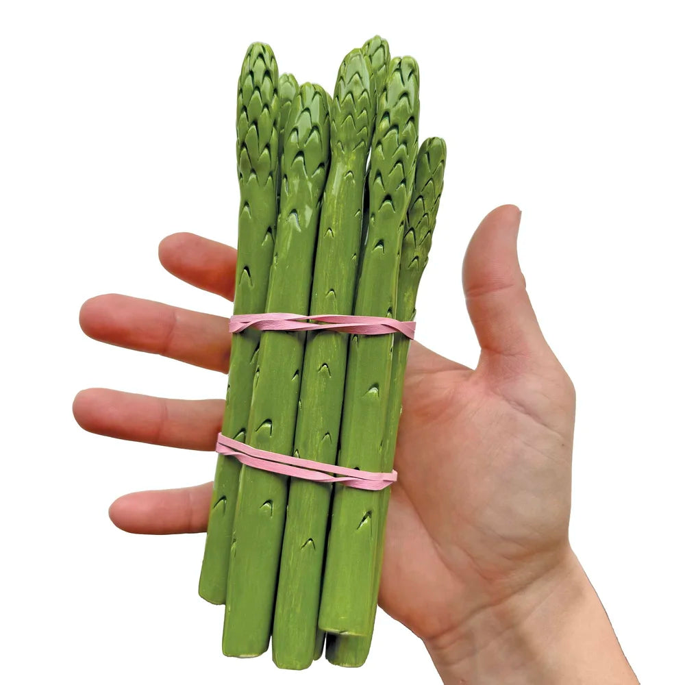 Minnie-Mae Studio Ceramic Asparagus