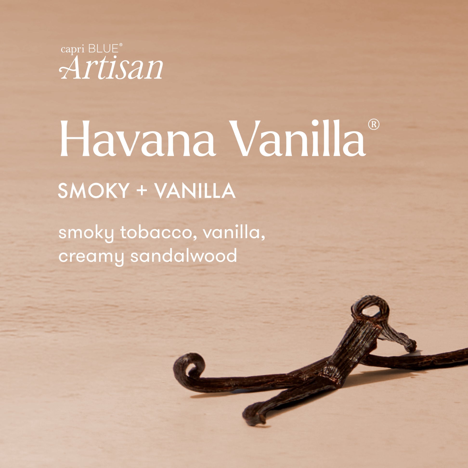 Havana Vanilla Capri Gelato Cup, 6.5oz