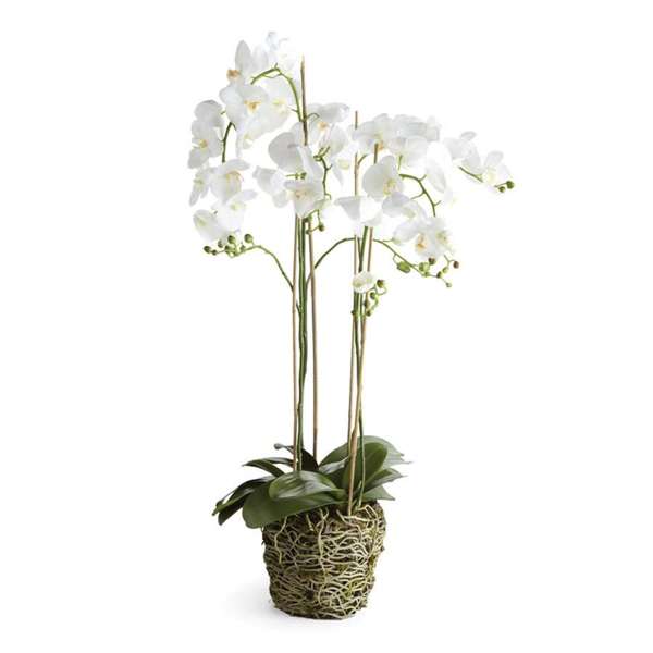 Phalaenopsis Orchid Drop-in, 44"