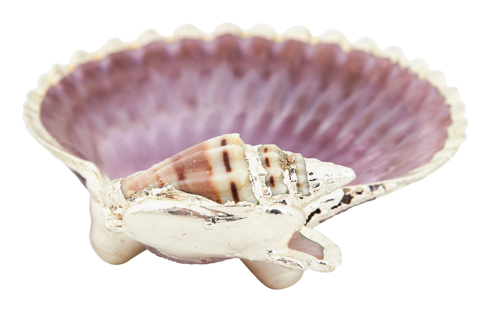 Belva Petite Clam Shell Ring Dish