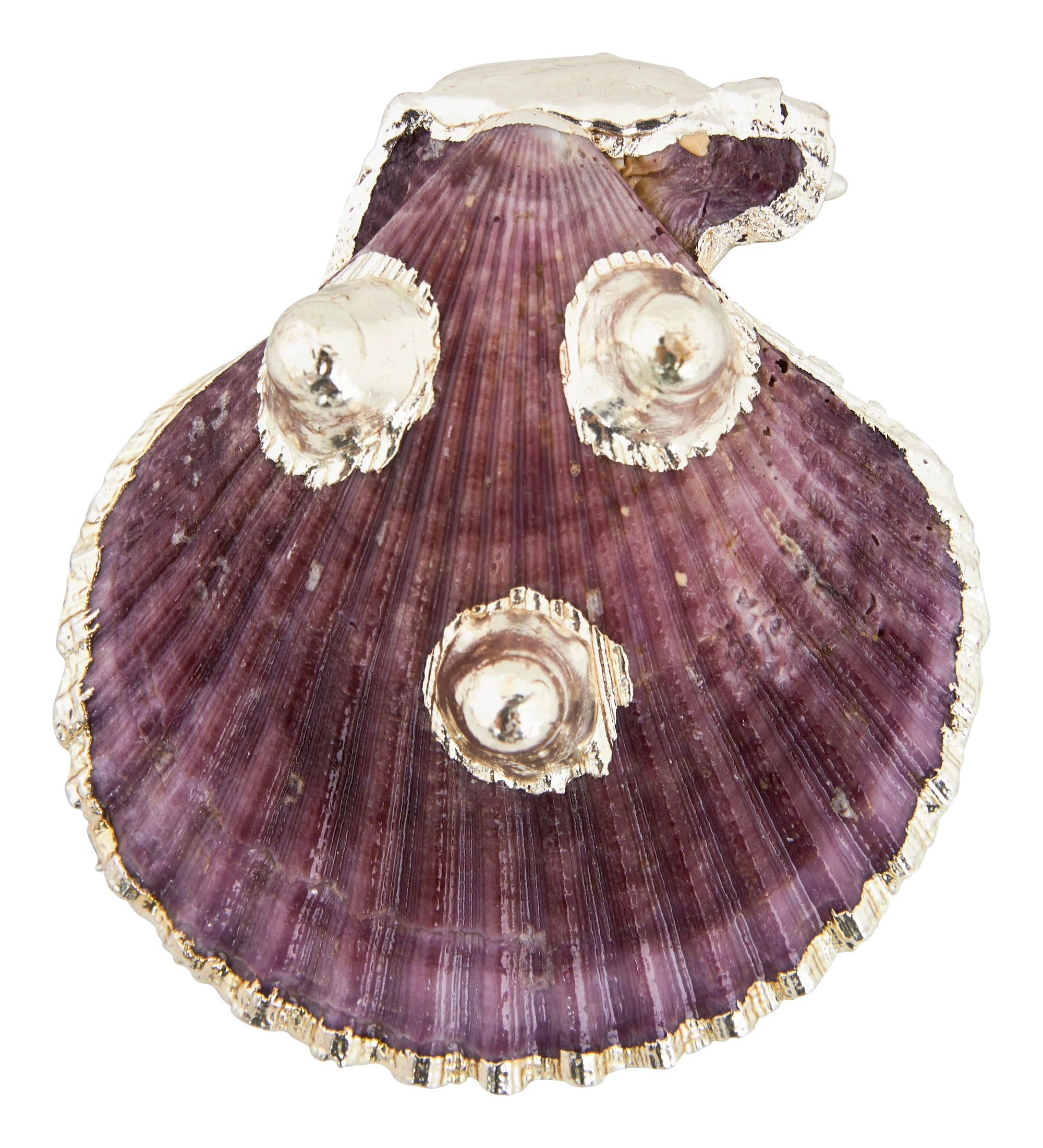 Belva Petite Clam Shell Ring Dish
