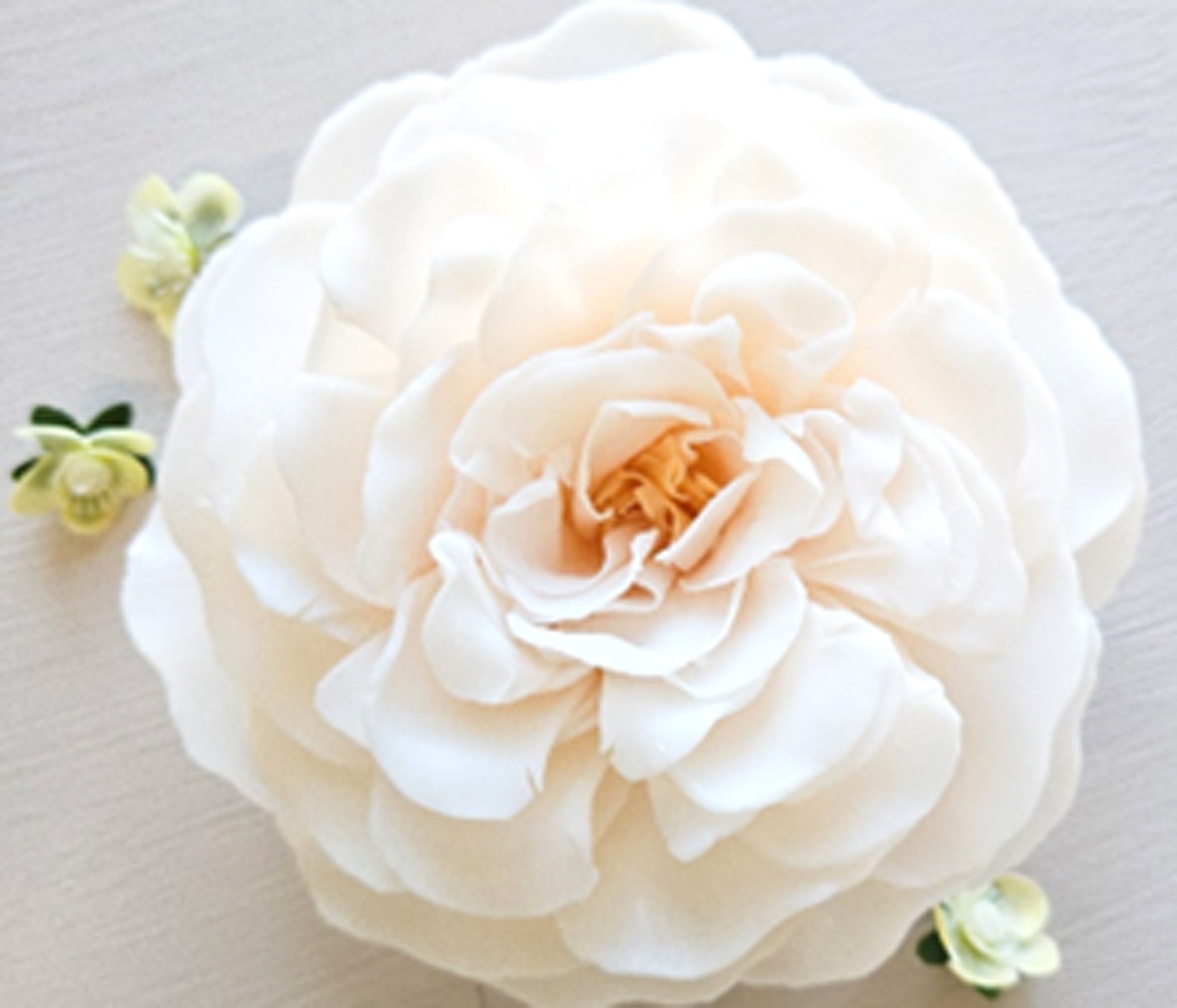 Heart of Wisdom Flower Soap