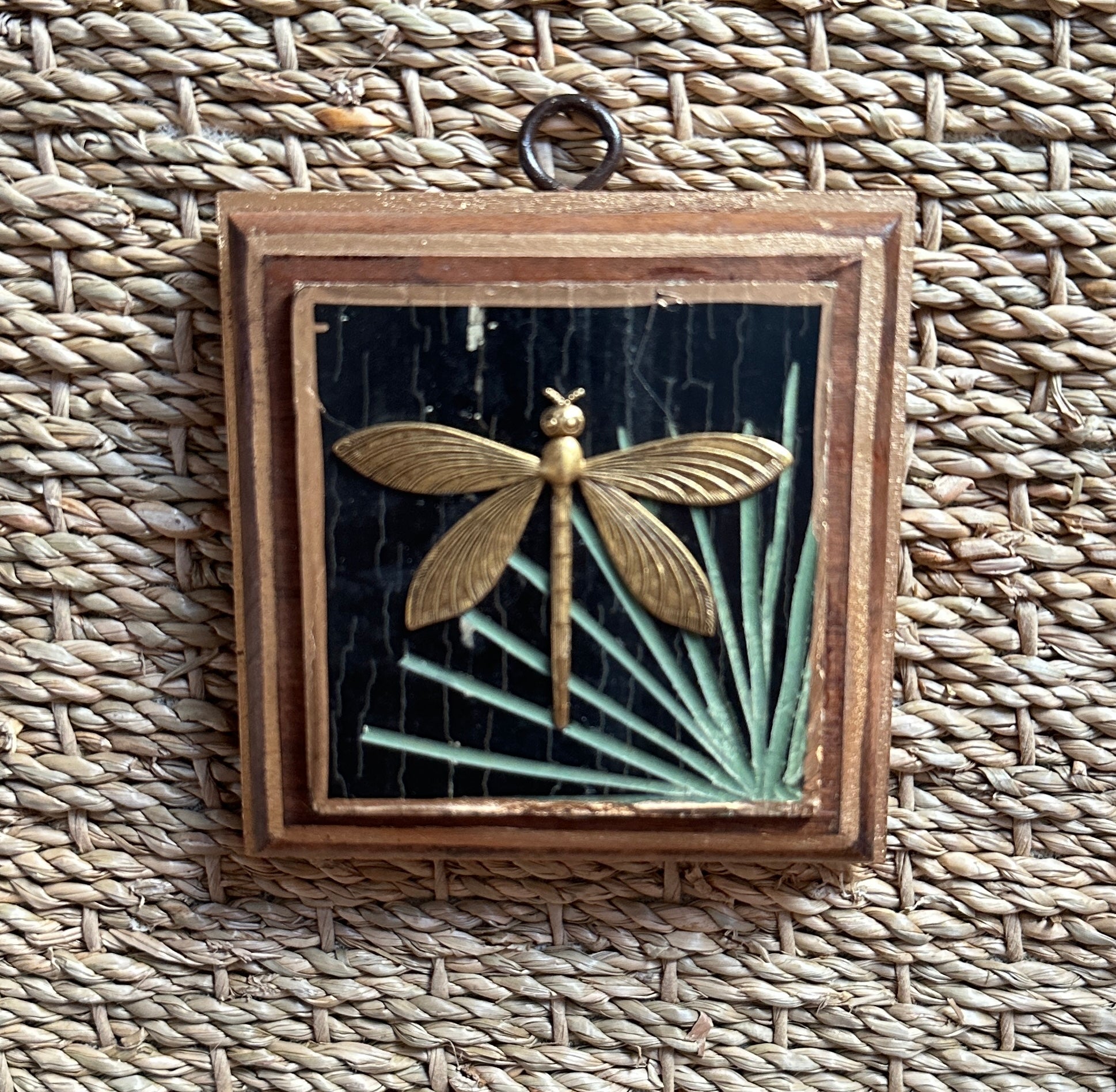 Museum Bee, Wooden Frame with Dragonfly on Coromande