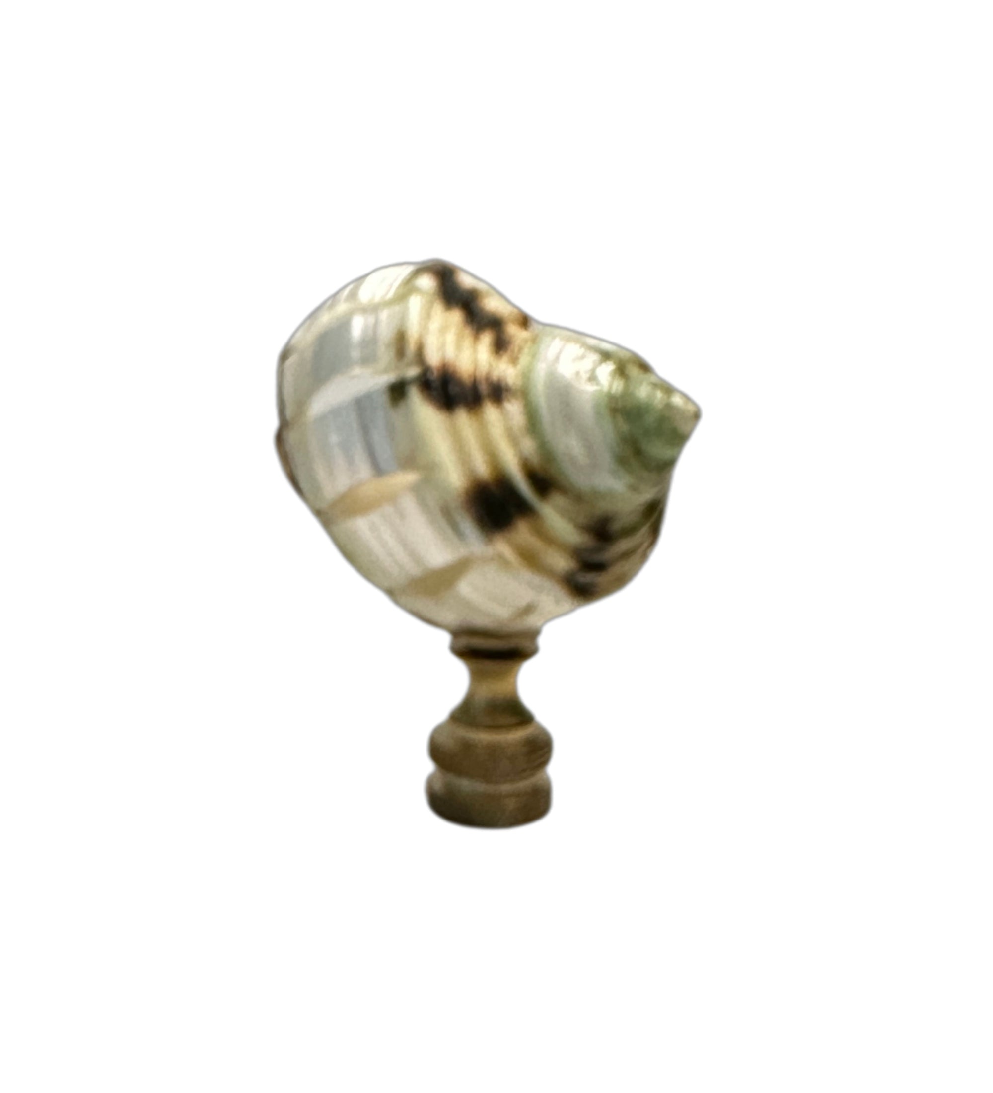 Pearl Banded Cut Shell Finial