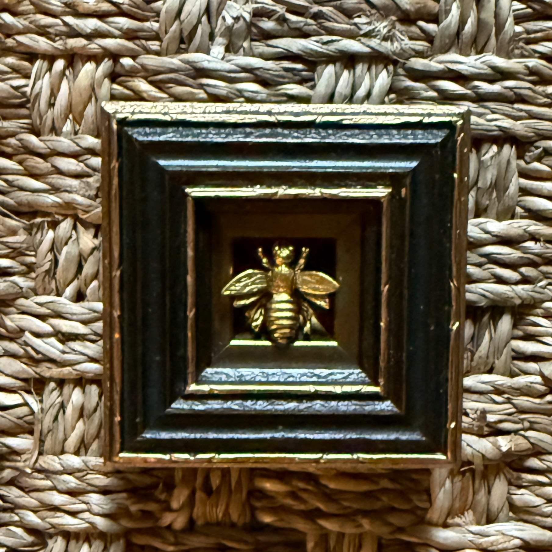 Museum Bee, Painted Frame with Napoleonic Bee