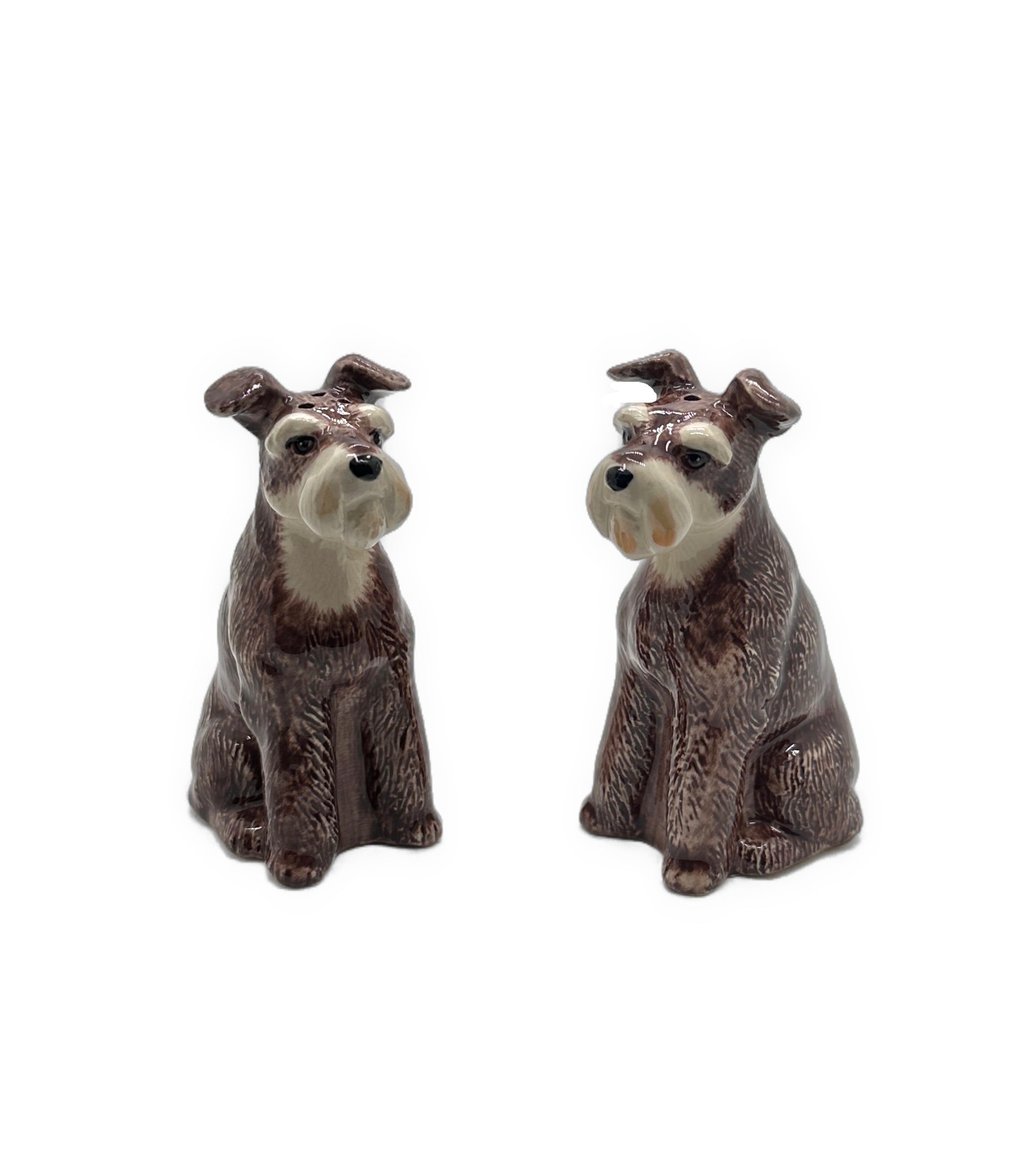 Spiffy Schnauzer Salt & Pepper Set