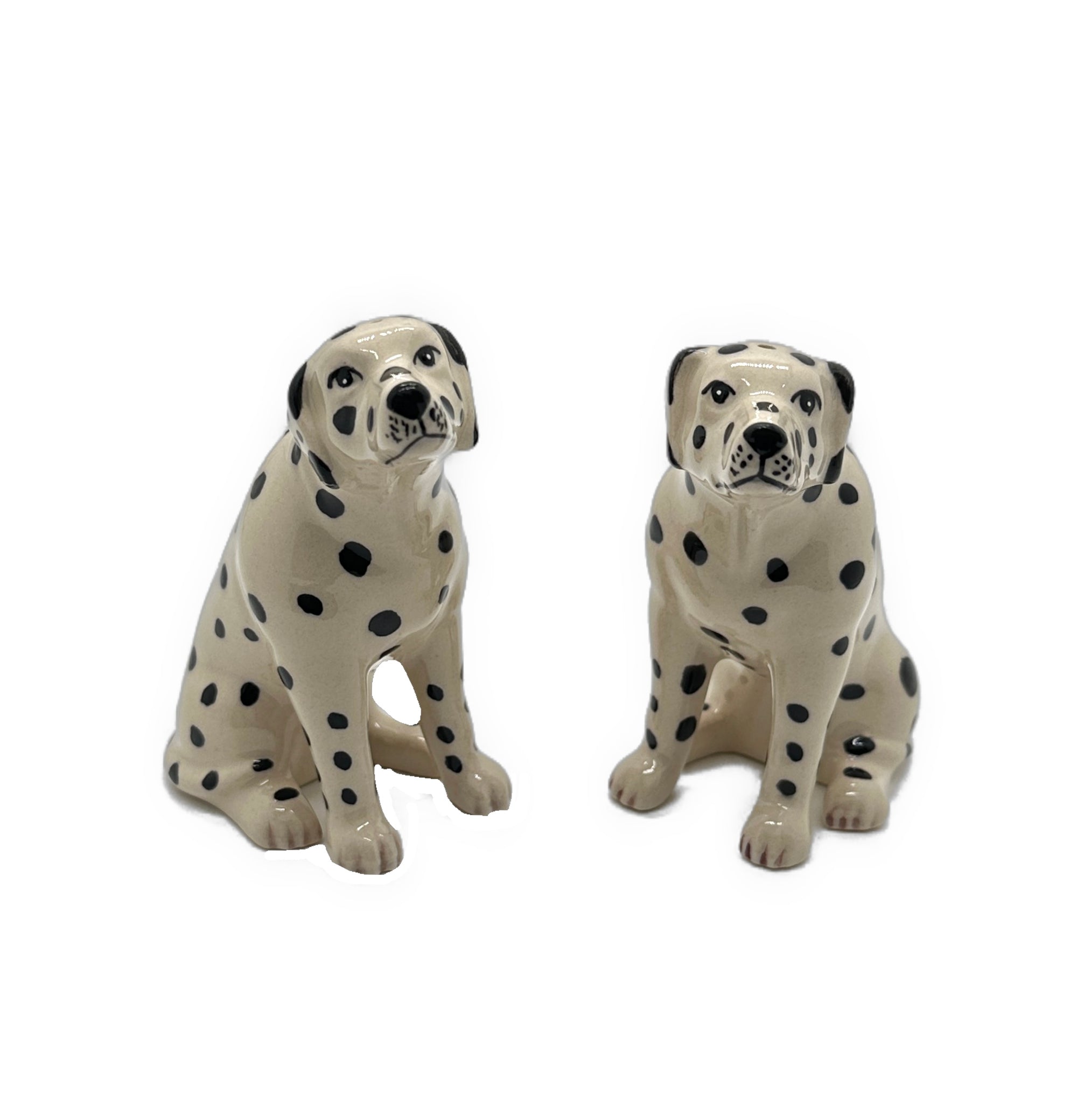 Spotty Dalmatian Salt & Pepper Set