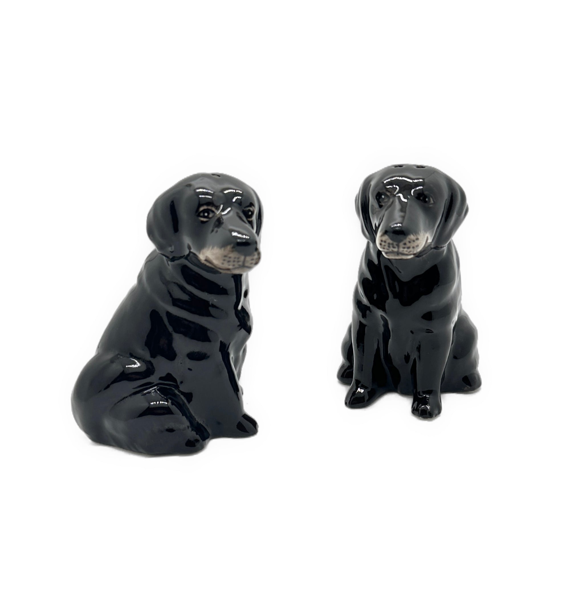 Lottie Labrador Salt & Pepper Set