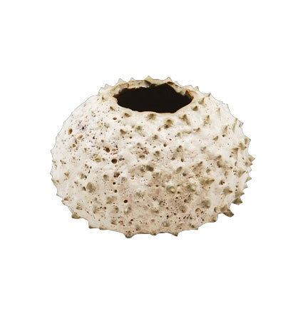 Lisa Lava Vase